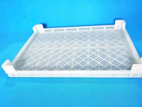 Khay Sấy Xoài 600x800