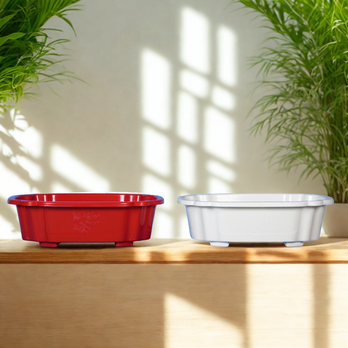Chậu Bonsai Bo Góc Nông Miệng Chân Quỳ
