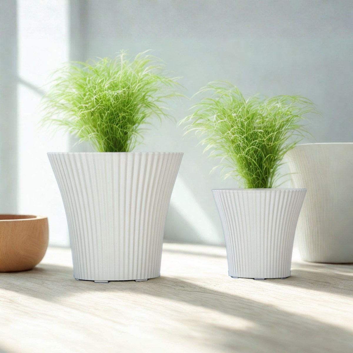 Bộ Chậu Khía Sọc Loe Miệng Trắng