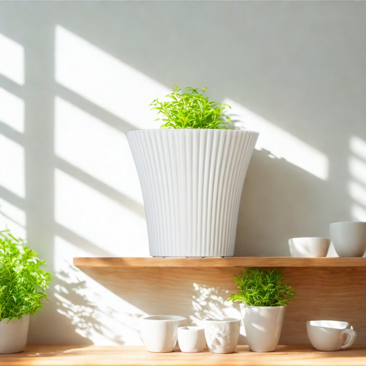 Chậu Khía Sọc Thân Loe Trắng