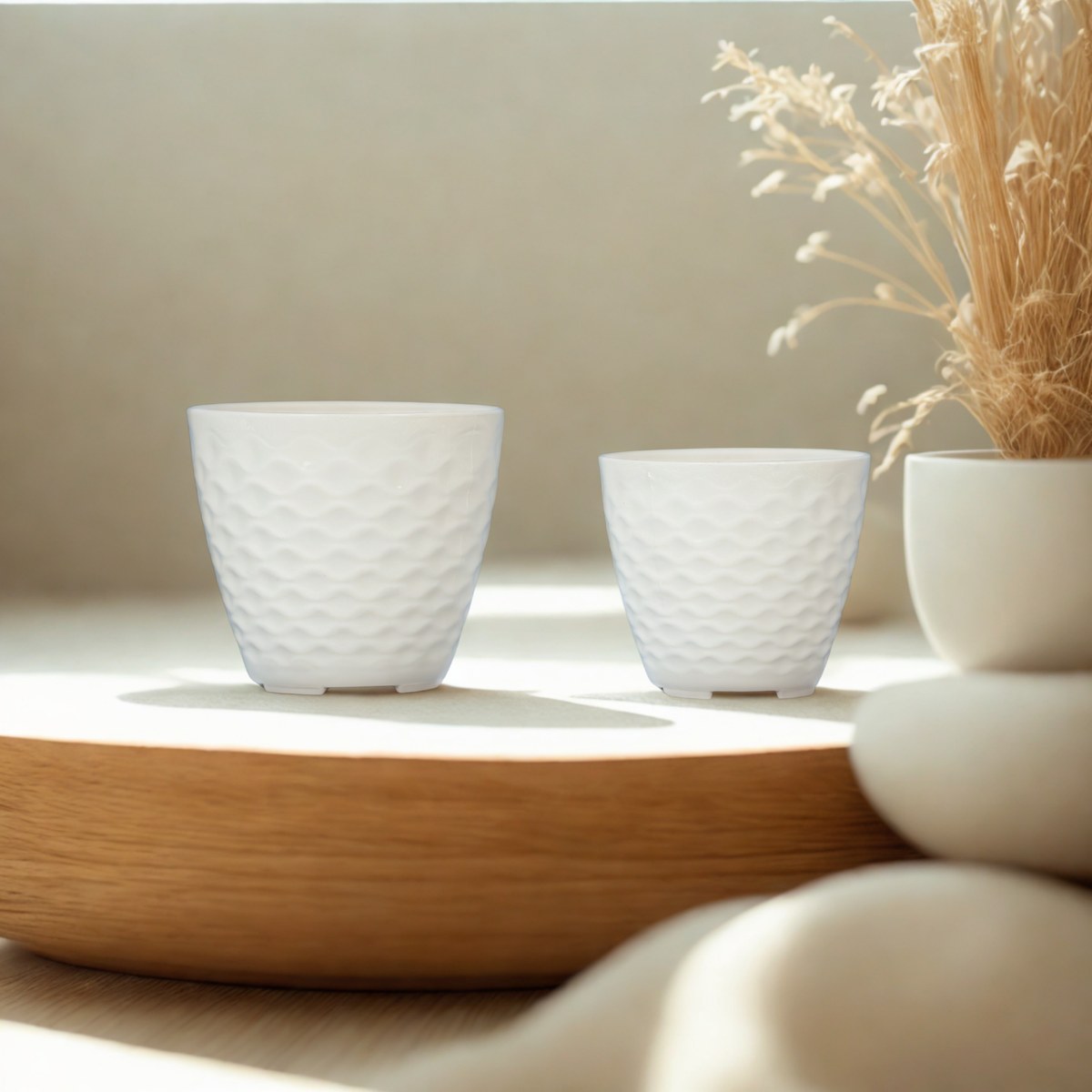 Bộ Chậu Vân Tổ Ong Quả Trám 3D Trắng