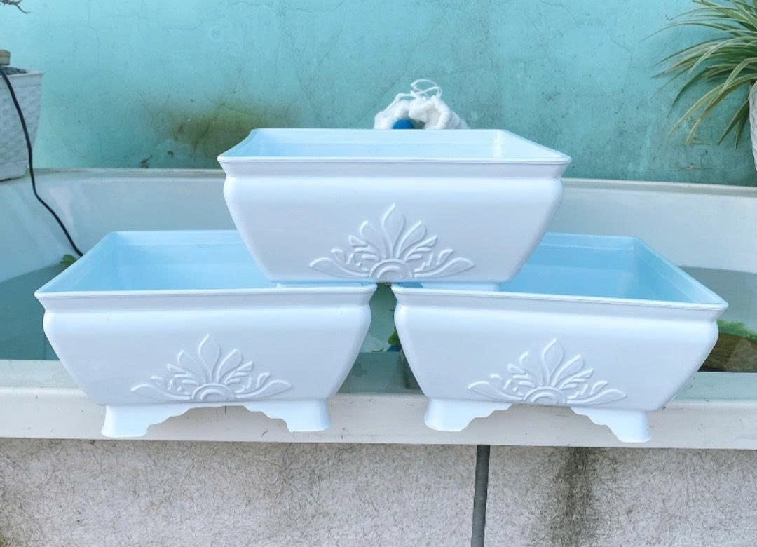 Chậu Vuông Bầu