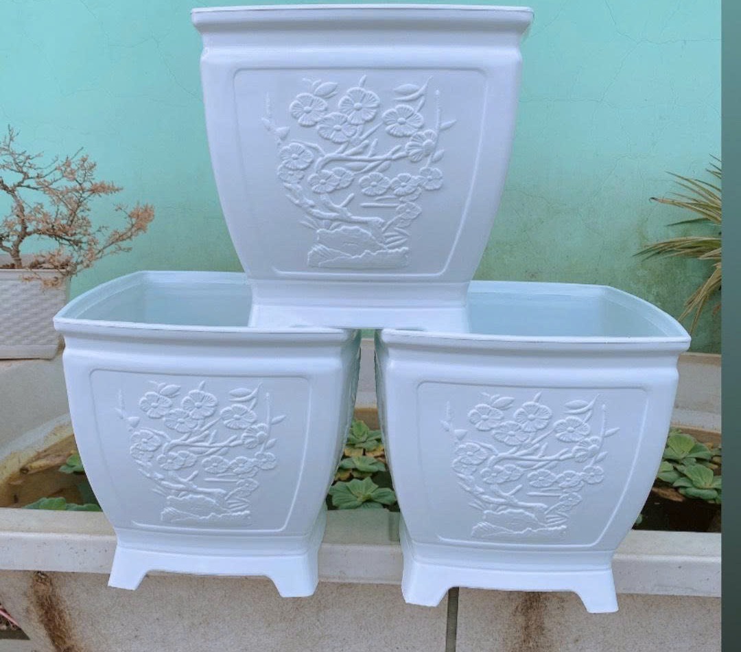 Chậu Vuông Hoa Mai