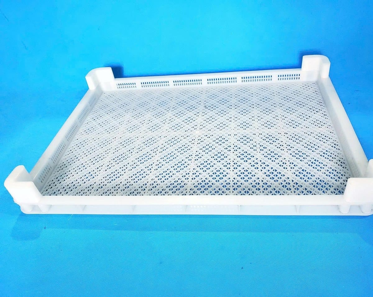 Khay Sấy Xoài 600x800